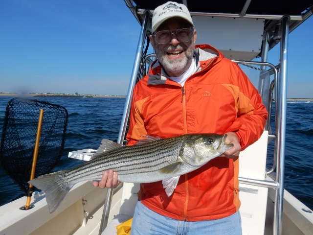 Striper caught off Plum Island Newburyport MA